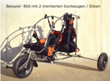 Diamond Evo, Ein und Doppelsitziges Motorschirm Trike OHNE Antrieb